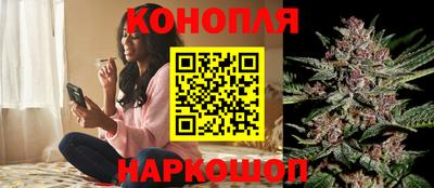 Альфа ПВП Михайловск
