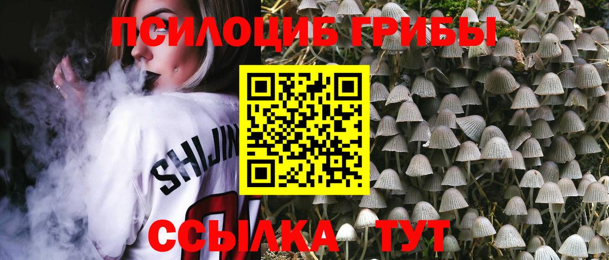 сколько стоит  Псилоцибиновые грибы MAGIC MUSHROOMS  Вход с VPN  Кызыл 