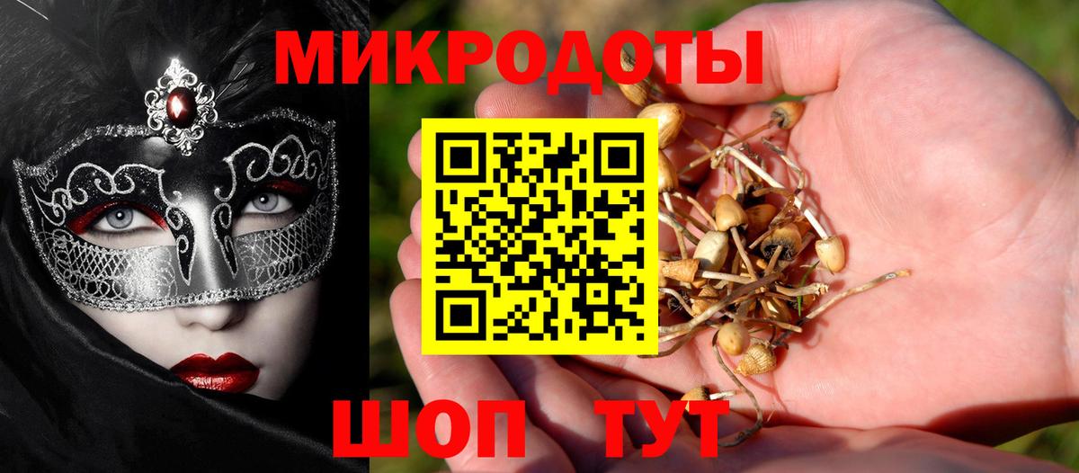 Псилоцибиновые грибы MAGIC MUSHROOMS Кызыл